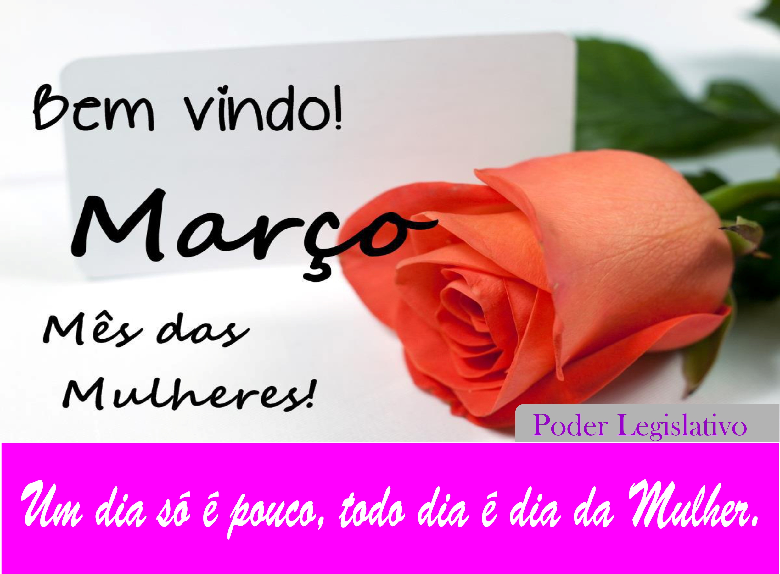 Mês da Mulher